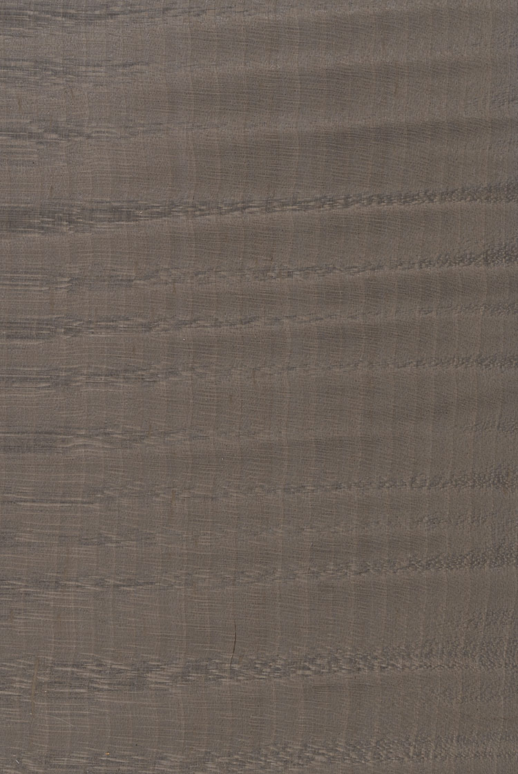 楓木影自然拼RA